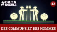 Des communs et des hommes - Datagueule - miniature de la vidéo